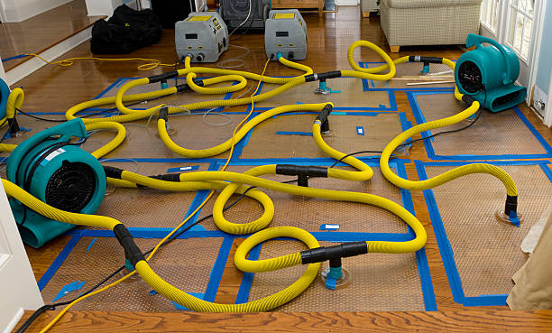 Professional Basement Flood Cleanup technician working in Fishers Island, NY